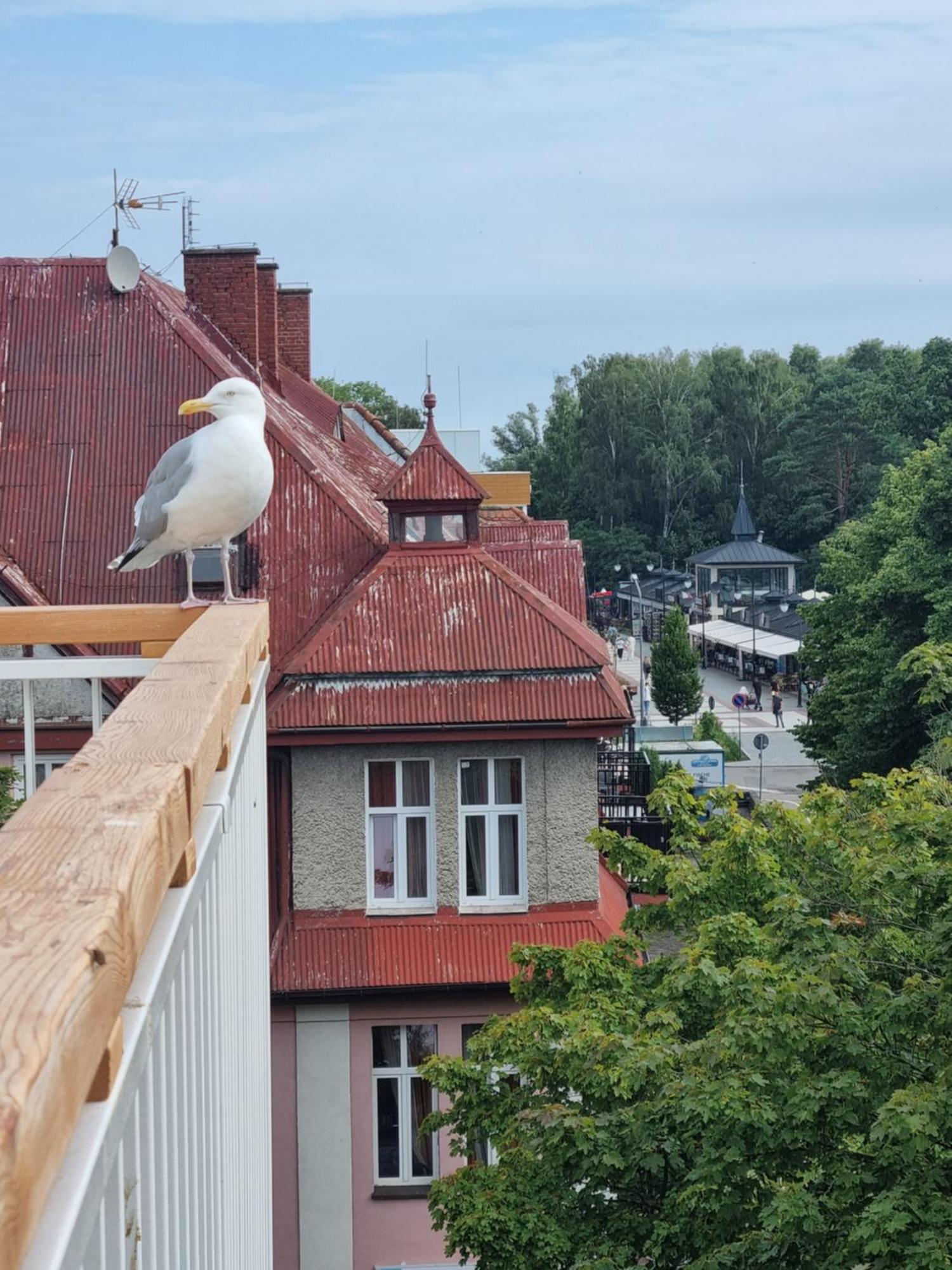 Osrodek Wczasowy Temida Hotel Swinoujscie Kültér fotó